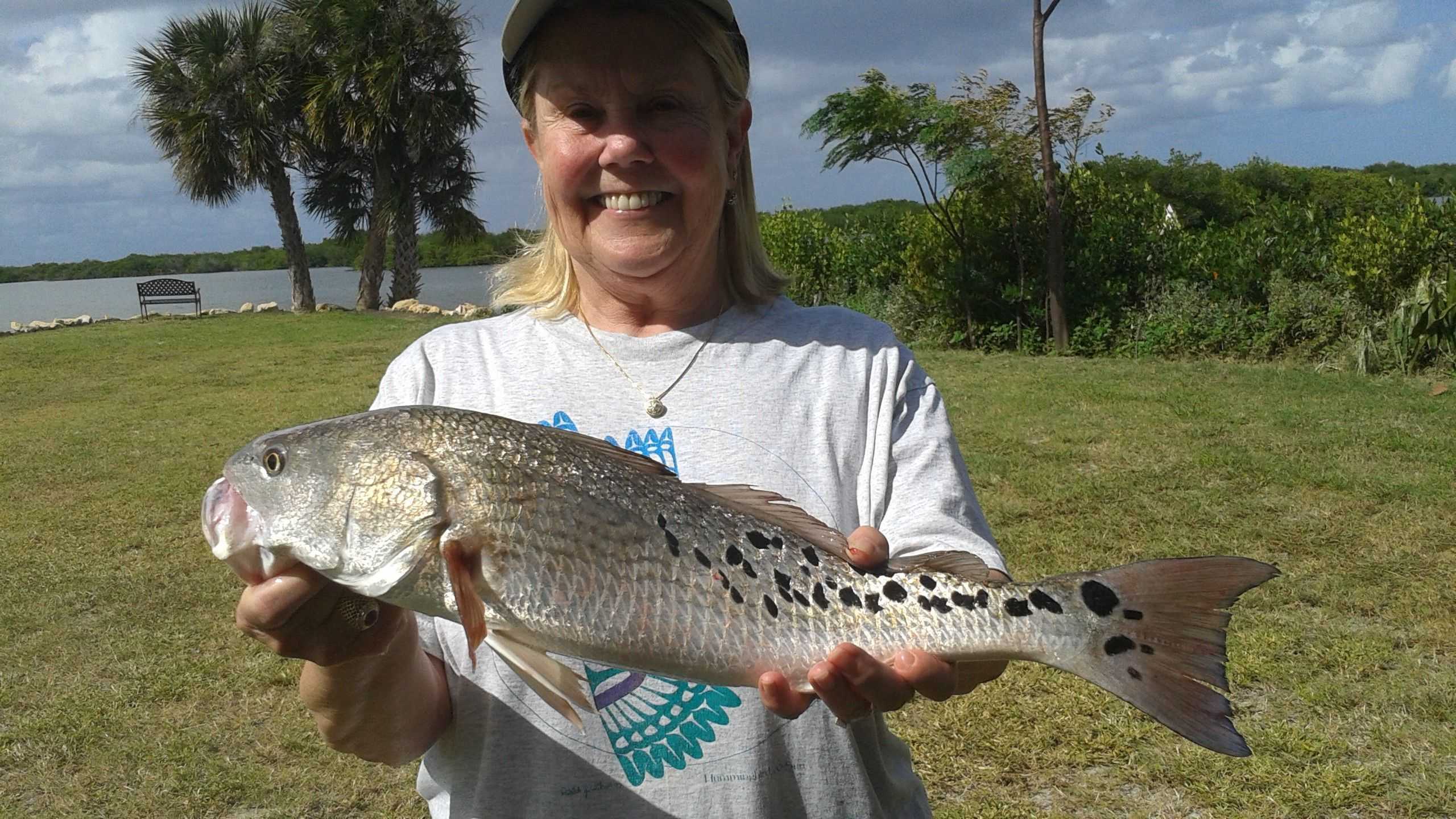 earman river north palm beach fishung earman river north palm beach fishung