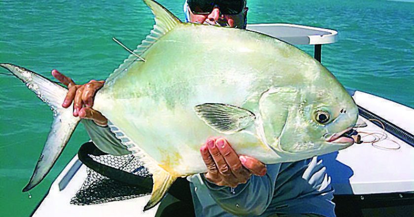 Anglers Tagged Permits