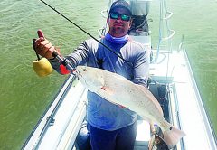 Last Cast’ is a Disease
