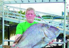 Jolthead Is A N.C. State Record