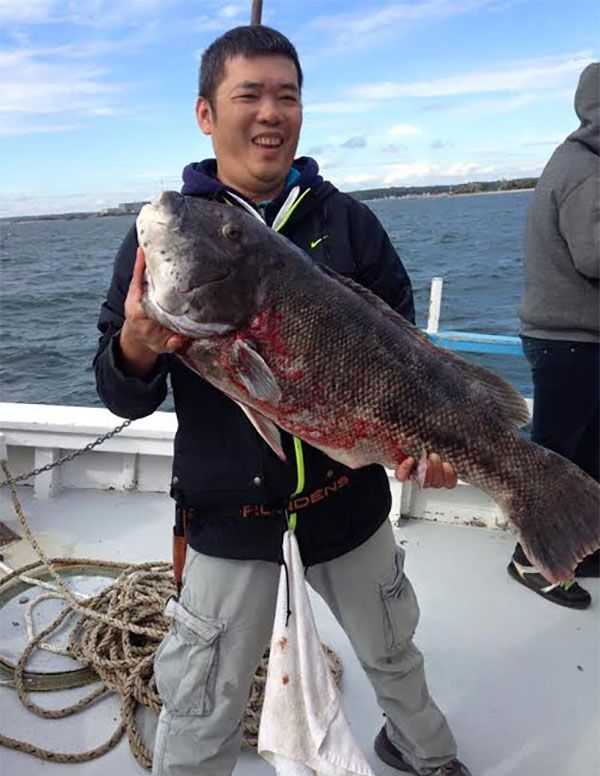 Connecticut state record tautog