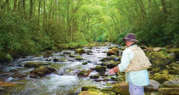 trout-fishing