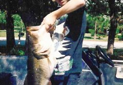 Big-bass