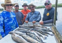 Captain Judy's Inshore Report