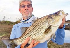 Spring St. Johns largemouth.