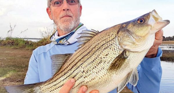 Spring St. Johns largemouth.