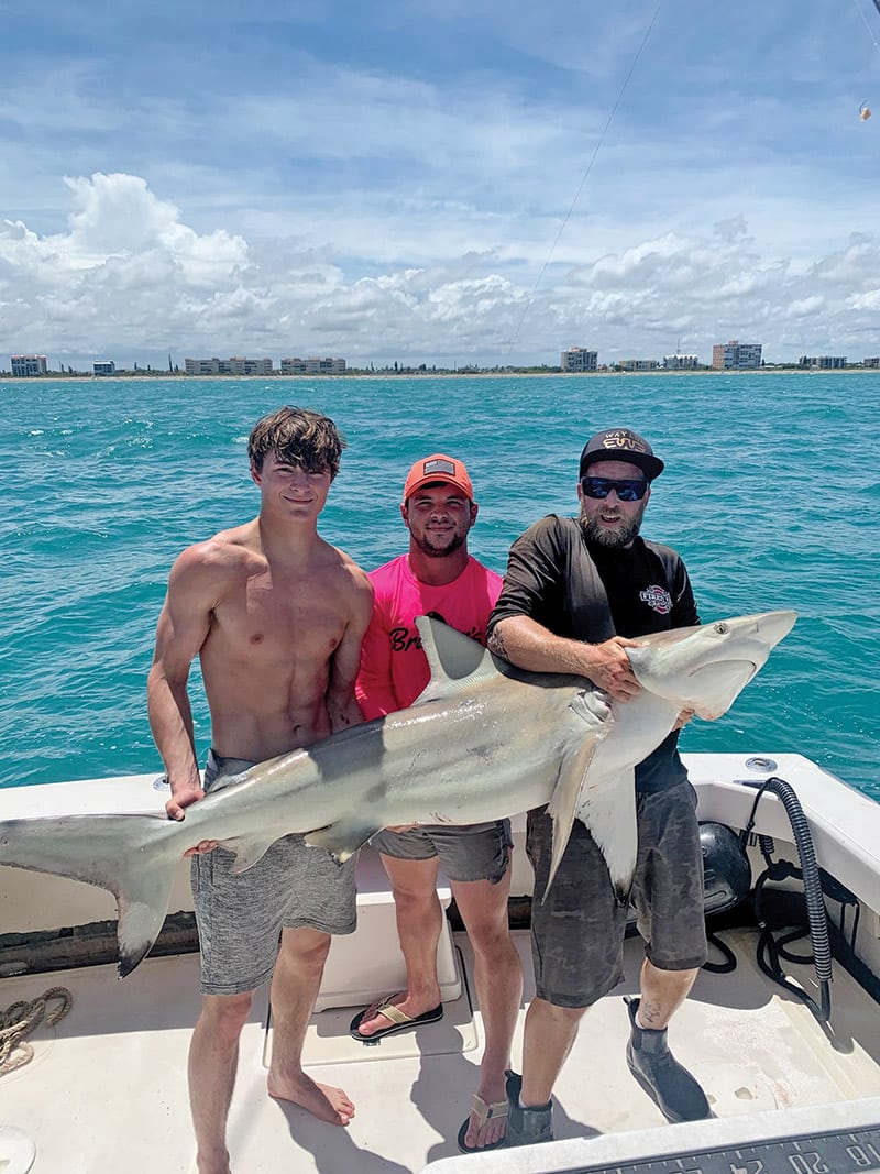 Monster blacktip!