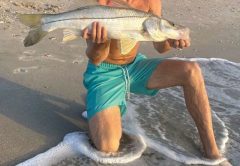 Lance White says the snook bite has been hot!