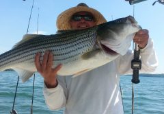 coastal-angler-fishing