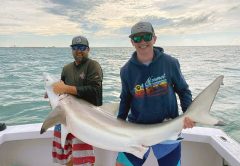 This healthy blacktip was caught aboard the Seas Fire while the winds blew during a recent shark fishing excursion.