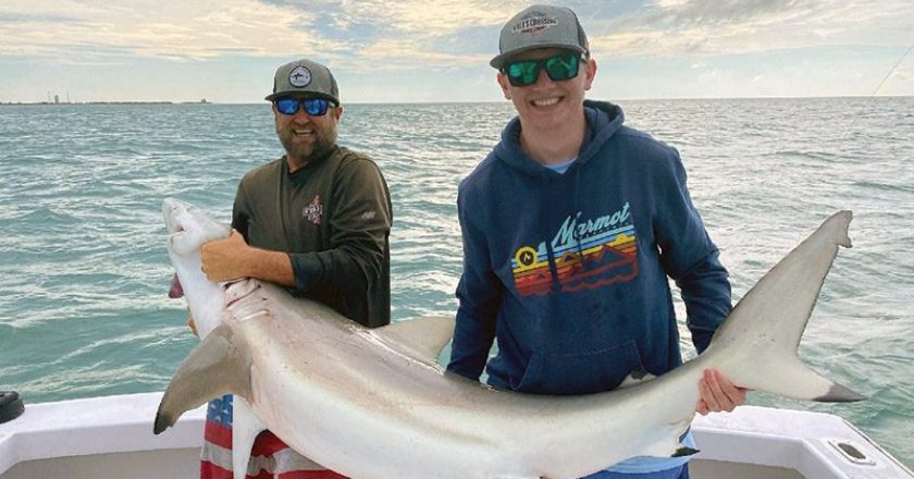 This healthy blacktip was caught aboard the Seas Fire while the winds blew during a recent shark fishing excursion.