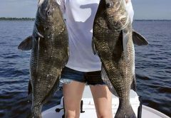 Michelle Wyatt holds two of the 21 black drum she caught and released during a fun day on the Indian River.