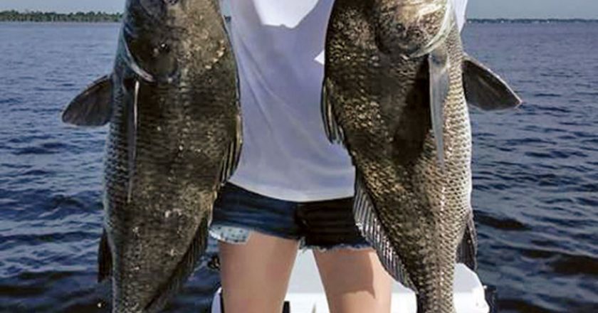 Michelle Wyatt holds two of the 21 black drum she caught and released during a fun day on the Indian River.