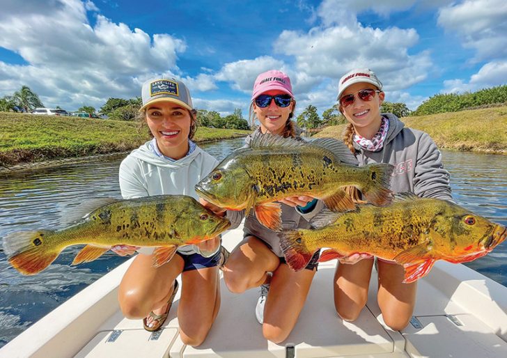 Three pretty peacocks for three pretty lady anglers.