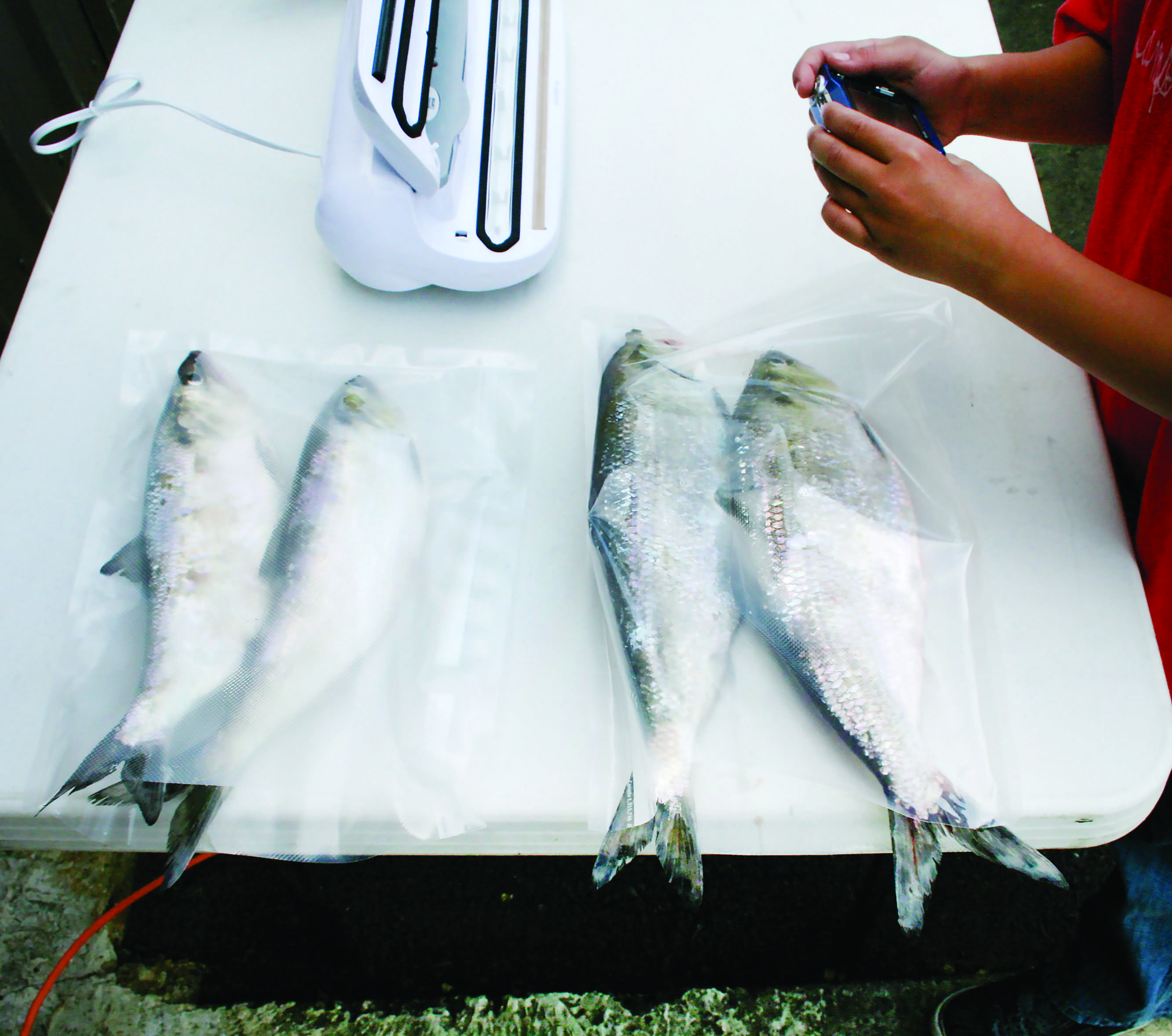 The Best Do It Yourself Homemade Bait Recipes - Coastal Angler & The Angler  Magazine