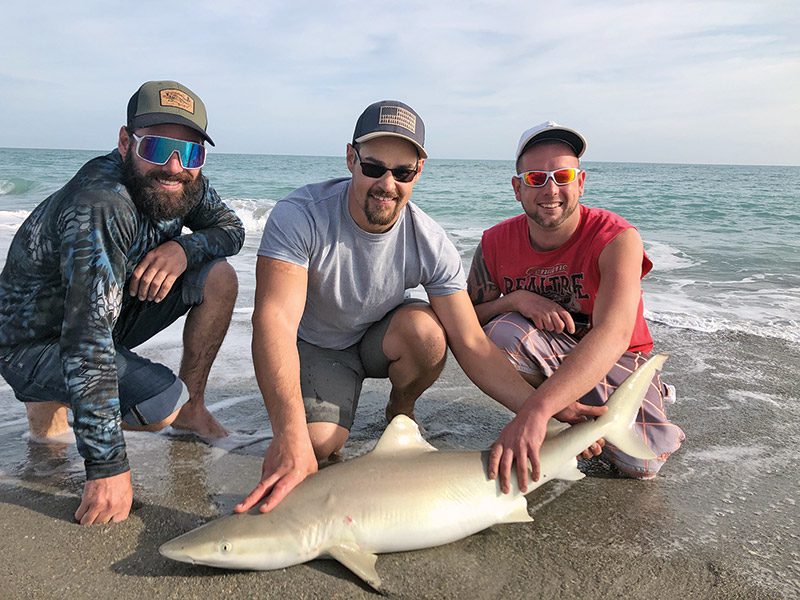 A nice mix of sharks, like this lemon shark, will be hanging around in March for your Brevard surf fishing enjoyment
