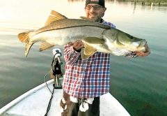 Eric P. hooked this 39-inch snook on the Indian River in Melbourne with a D.O.A. shrimp.