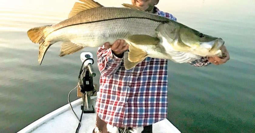 Eric P. hooked this 39-inch snook on the Indian River in Melbourne with a D.O.A. shrimp.