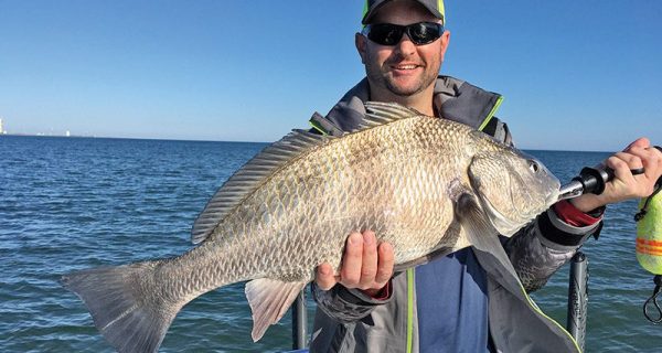 Nice Banana River black drum.