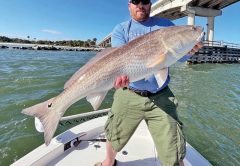 Big redfish for Kevin!
