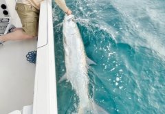Jose with a big tarpon off the beach!