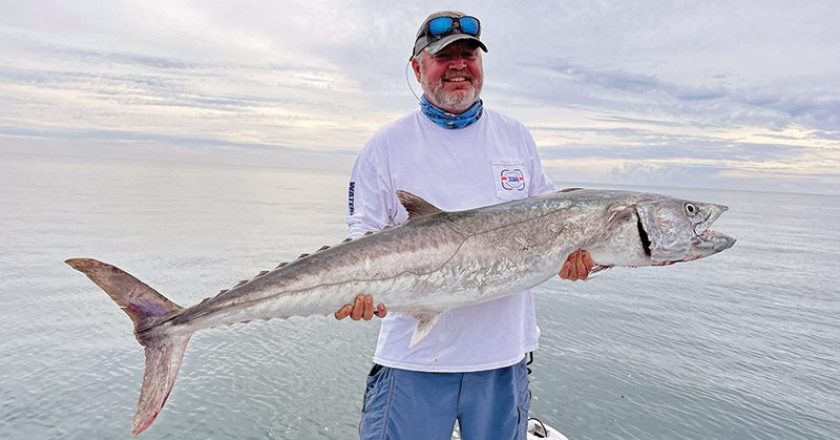 Mark Coomber with a 51lb. kingfish he caught while fishing in 12’ of water off the beach for tarpon on soft plastics.