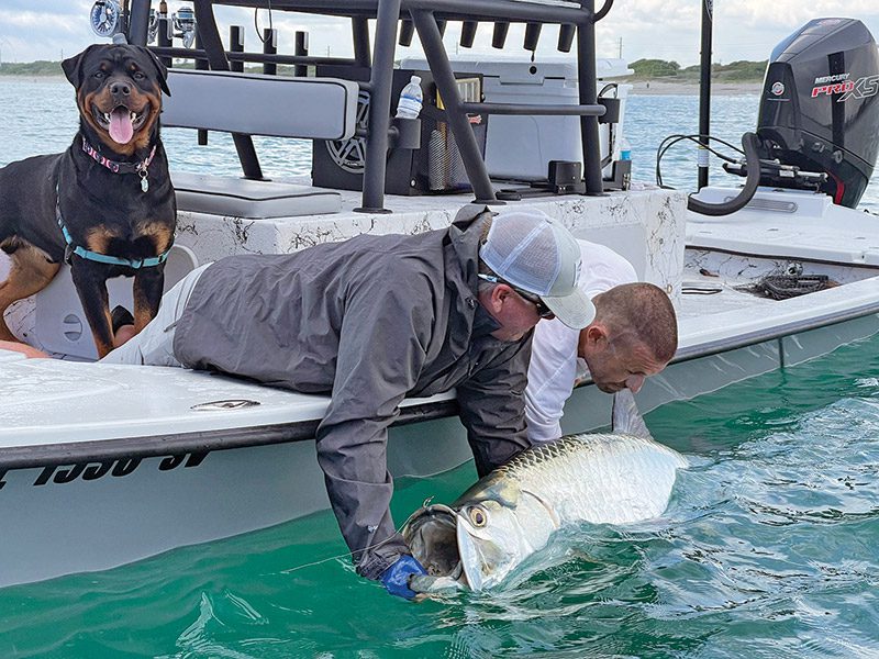 The tarpon bite has been pretty good along the beaches from Melbourne down to Sebastian.