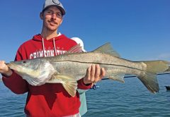 Snook fishing around the Port will be hot this month!