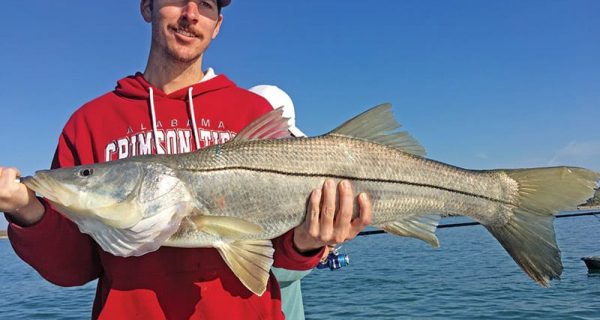 Snook fishing around the Port will be hot this month!