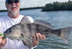 Bryan with a nice black drum he caught fishing the Edgewater Backcountry with Capt. Michael Savedow.