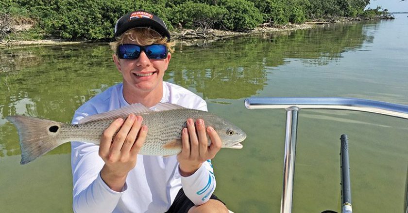 Redfish can be fooled with a little twitch-n-pause motion of your rod tip, and the right colored soft plastic jerk bait on most days.