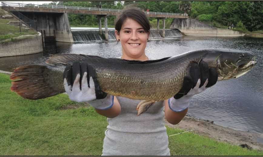 fishing planet bowfin florida