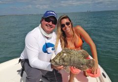 Tripletail snap up live shrimp casted t them as they wait in ambush near floating debris outside of Port Canveral.
