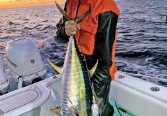 Nick Catsoulis with a yellowfin tuna caught in the Bahamas while high speeding for wahoo.
