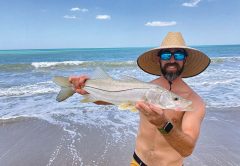 Brevard beach snook.