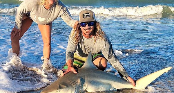 Sharks can be found hammering the migrating bait pods all along the Space Coast shoreline.