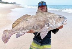 Capt. Lukas with a huge black drum he caught from the shore.