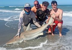 Exciting shoreline shark fishing will stay consistent throughout May.