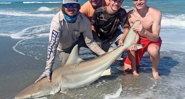 Exciting shoreline shark fishing will stay consistent throughout May.
