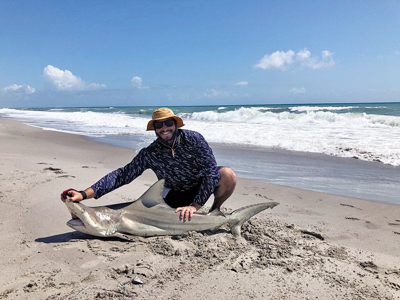 A healthy amount of sharks are all up and down the Space Coast surf.