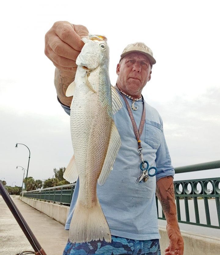 Silver Seatrout of the Indian River Lagoon - Coastal Angler & The