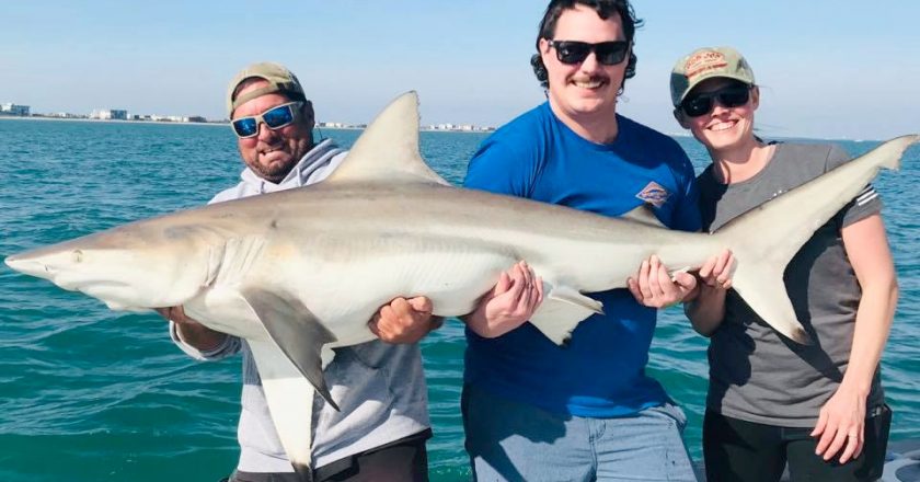 The strain is real as this great couple from Minnesota and Capt. Joe hoist up 6.5ft, 125 lbs. of full grown black tip shark as it turns to smile at the camera!