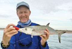 Spanish Mackerel are just one of a dozen species that are possible outside the port this month.