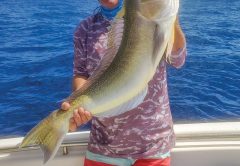 Paul Bird got this nice golden tilefish 30 miles off Cocoa Beach in 700 feet of water.