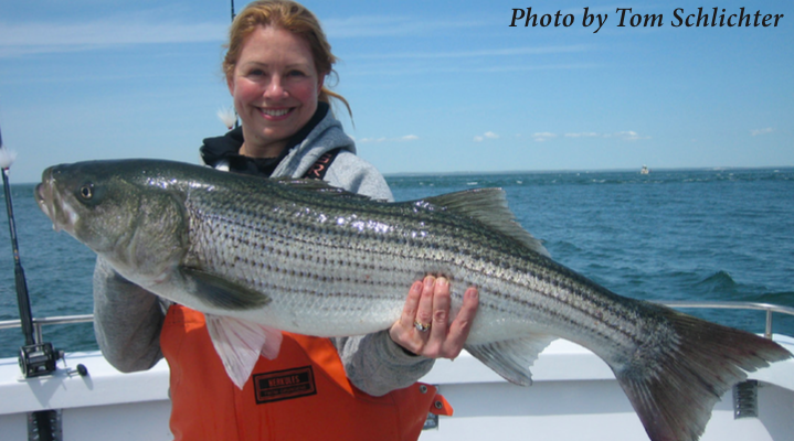 Fishes of the Upper Raritan - Raritan Headwaters