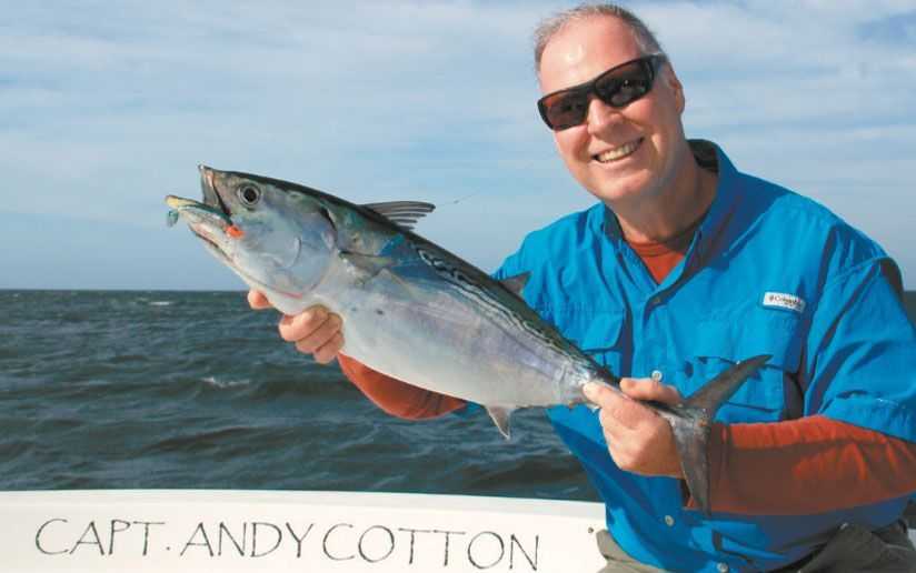 The waters around Sarasota offer great flats fishing inside the bays and plenty of false albacore, tripletail and Spanish Mackerel just outside the inlets. Photo by Felicia Scocozza.