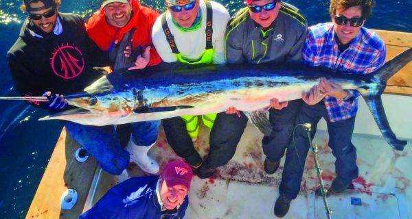 White Marlin Record