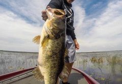 Chris Can Vliet, 8.56 Bass, Lake Okeechobee