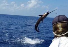 Drake Bay Fishing Report