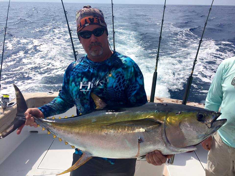 Large yellowfin caught near a pod of dolphins! 